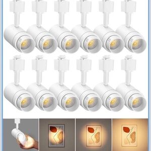 TuyuBee Zoomable H Track Lighting Heads 12 Pack